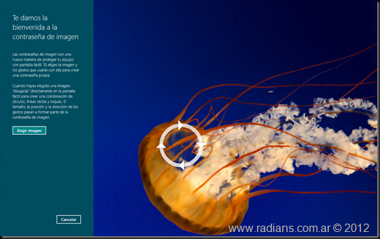 www.radians.com.ar © 2012