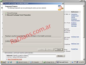 e2003_10_forestprep