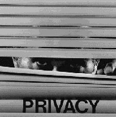 privacy