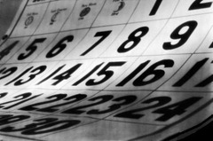calendarioanual11